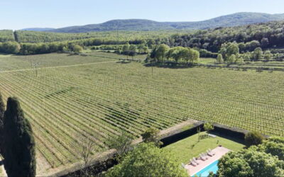Medieval Hamlet Poggiarelllo Swimming Pool & Rusti