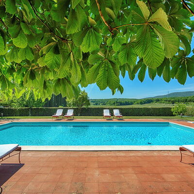 Medieval Castle Living: Vineyards, Swimming Pool &: Garden, Shade, Resort, Eco Hotel, Swimming Pool, Hacienda, Outdoor Furniture, Plantation, Villa, Farmhouse