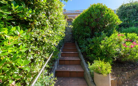Montparnasse: Green, Leaf, Shrub, Plant Community, Garden, Woody Plant, Hedge, Walkway, Shade, Landscaping