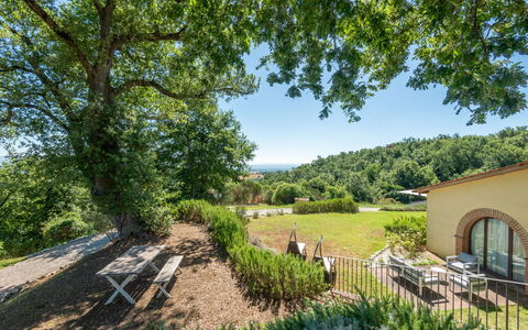 Cignella Resort: Tree, Leaf, Vegetation, Natural Landscape, Shrub, Landscape, Land Lot, Rural Area, Plant Community