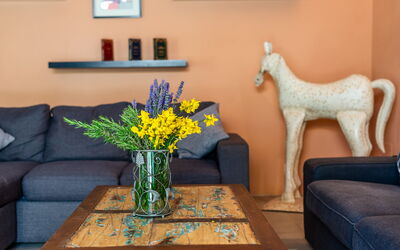 Accommodation:&nbsp;Pesca