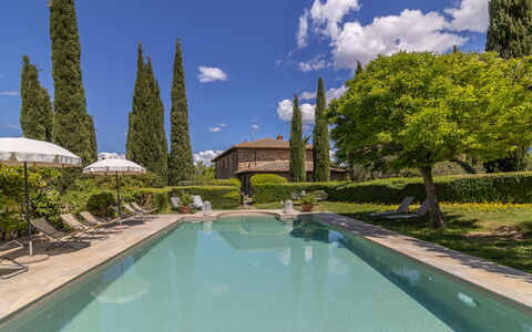 Podere Peteglia: Shrub, Garden, Swimming Pool, Hedge, Landscaping, Estate, Hacienda, Eco Hotel, Villa, Courtyard