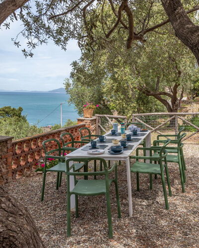 Villa Fior di Roccia: Outdoor Furniture, Garden, Shade, Outdoor Table, Chair, Landscaping, Hacienda, Tropics, Backyard