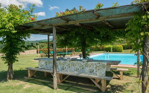 Martini: Shade, Garden, Outdoor Structure, Pergola, Swimming Pool, Landscaping, Backyard, Eco Hotel, Yard, Resort