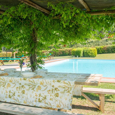 Martini: Shade, Garden, Swimming Pool, Eco Hotel, Hacienda, Outdoor Furniture, Resort, Backyard, Plantation, Outdoor Structure