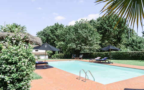 Fattoria: Swimming Pool, Resort, Shade, Eco Hotel, Hacienda, Estate, Outdoor Furniture, Garden, Landscaping, Villa