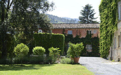 Fattoria: Shrub, Residential Area, House, Estate, Garden, Hacienda, Hedge, Landscaping, Courtyard
