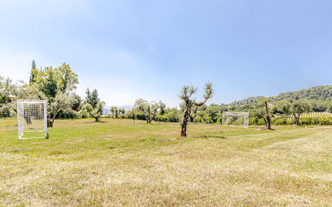 Chateau la Siroque: Tree, Grass, Grassland, Land Lot, Plain, Meadow, Spring, Lawn, Pasture
