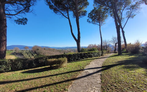 Villa El Olivar: Sky, Blue, Leaf, Tree, Green, Natural Environment, Nature, Branch, Vegetation, Natural Landscape