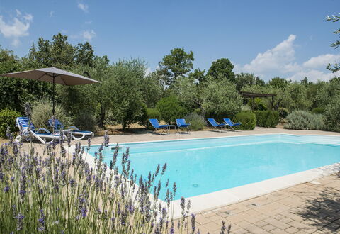 Villa El Olivar: Swimming Pool, Garden, Estate, Landscaping, Outdoor Furniture, Hacienda, Resort, Villa, Backyard, Farmhouse