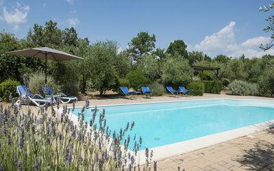 Villa El Olivar: Swimming Pool, Garden, Estate, Landscaping, Outdoor Furniture, Hacienda, Resort, Villa, Backyard, Farmhouse