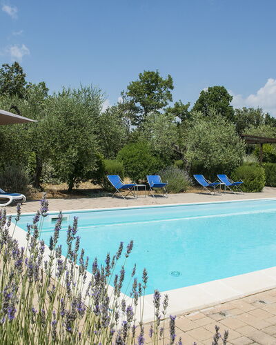 Villa El Olivar: Swimming Pool, Garden, Estate, Landscaping, Outdoor Furniture, Hacienda, Resort, Villa, Backyard, Farmhouse