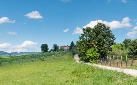 Agriturismo le Due Querce: Sky, Grass, Green, Natural Environment, Nature, Natural Landscape, Grassland, Plain, Landscape