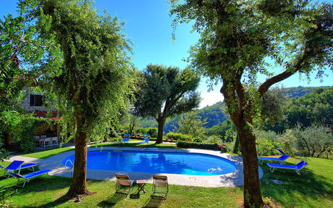 Villa Ulivacci: Blue, Swimming Pool, Garden, Shade, Outdoor Furniture, Hacienda, Eco Hotel, Landscaping, Backyard, Lawn