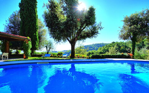 Villa Ulivacci: Blue, Swimming Pool, Garden, Landscaping, Leisure, Eco Hotel, Resort, Shade, Hacienda, Backyard