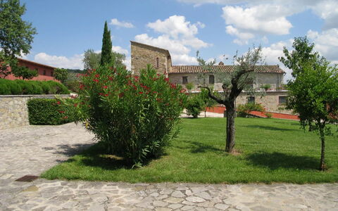 Agriturismo le Case Rosse di Montebuono: Grass, Shrub, Landscape, Land Lot, Garden, Lawn, Landscaping, Yard, Plantation