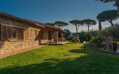 Villa Bolgheri Vermentino Castagneto Carducci: Wood, Home, Cottage, House, Roof, Estate, Land Lot, Rural Area, Farmhouse, Garden