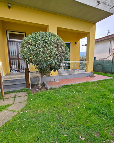 Casa Serena: Shrub, Garden, Lawn, Yard, Backyard, Landscaping, Shade, Hedge, Courtyard, Walkway