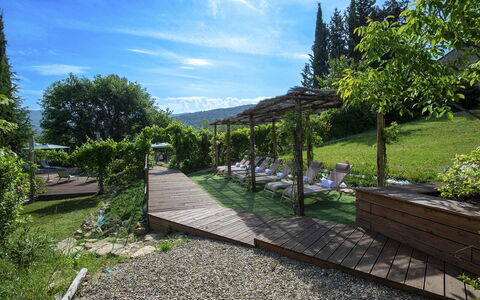 Villa Grevigiana: Shrub, Landscape, Garden, Plant Community, Land Lot, Shade, Groundcover, Outdoor Furniture, Landscaping, Outdoor Structure