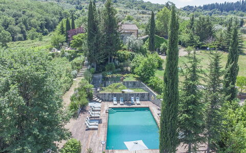 Villa Grevigiana: Tree, Vegetation, Shrub, Landscape, Plant Community, Garden, Landscaping, Swimming Pool, Evergreen
