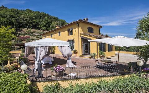 Villa delle Rose: Flowerpot, Estate, Awning, Garden, Hacienda, Chair, Houseplant, Villa, Kitchen & Dining Room Table, Landscaping