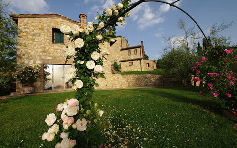 Villa Incanto: Flower, Petal, Spring, Garden, Garden Roses, Rose Family, Floristry, Landscaping, Rose