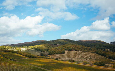 Villa Torre del Chianti: Mountainous Landforms, Hill, Natural Landscape, Mountain, Highland, Landscape, Grassland, Ecoregion, Rural Area, Field
