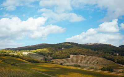 Villa Torre del Chianti