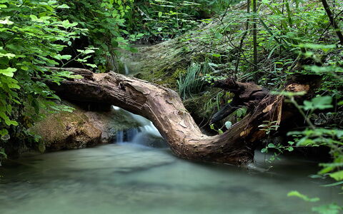 Borgo di San Biagio: Water Resources, Water, Body Of Water, Nature, Watercourse, Green, Natural Environment, Stream, Vegetation, Branch