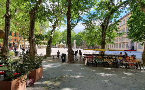 Casa Elena 13: Tree, Road Surface, Public Space, Neighbourhood, Street, Shade, Town Square, Plaza, Outdoor Furniture, Parking
