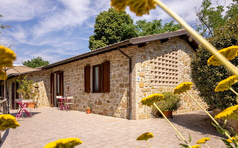 Il Giuncheto Apartments, Pool, Umbrian Countryside: Cottage, House, Door, Home, Garden, Farmhouse, Flowerpot, Estate, Yard, Backyard