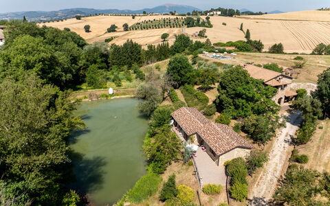 Il Giuncheto Apartments, Pool, Umbrian Countryside: Tree, House, Rural Area, Landscape, Home, Land Lot, Human Settlement, Cottage, Estate