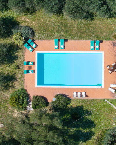 Il Leccio, Vinci, Private Pool and Tennis: Swimming Pool, Resort, Leisure, Eco Hotel, Estate, Shade, Landscaping, Hacienda, Outdoor Furniture, Lawn