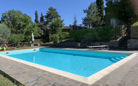 Casa Chimera: Swimming Pool, Blue, Resort, Composite Material, Shade, Eco Hotel, Backyard, Hacienda, Garden, Water Feature