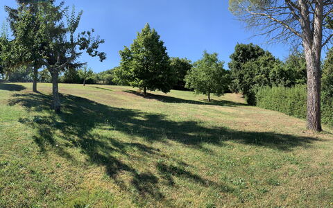 Casa Chimera: Tree, Grass, Natural Environment, Branch, Grassland, Plain, Land Lot, Pasture, Trunk