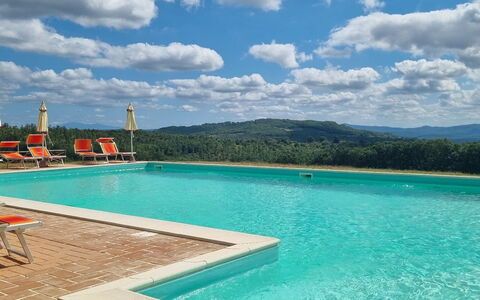 Casa Stella Serena, Podere le Scopaie, Pool: Swimming Pool, Hill, Resort, Eco Hotel, Hill Station, Outdoor Furniture, Resort Town, Sunlounger, Ridge, Hotel