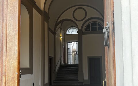 Maison D'Alice: Ceiling, Arch, Interior Design, Glass, Molding, Column, Daylighting, Arcade, Mansion