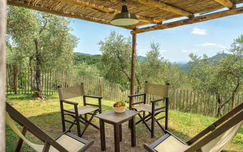 La Sorgente: Wood, Furniture, Outdoor Furniture, Chair, Kitchen & Dining Room Table, Hardwood, Outdoor Table, Wood Stain, Shade, Porch