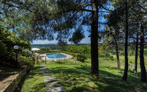 Villa Quintino: Blue, Shade, Landscaping, Park, Swimming Pool