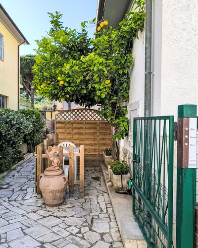Limone 42.1