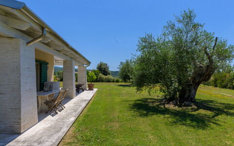 La Sorgente: Shrub, Home, Land Lot, Garden, Groundcover, Landscaping, Shade, Estate, Cottage