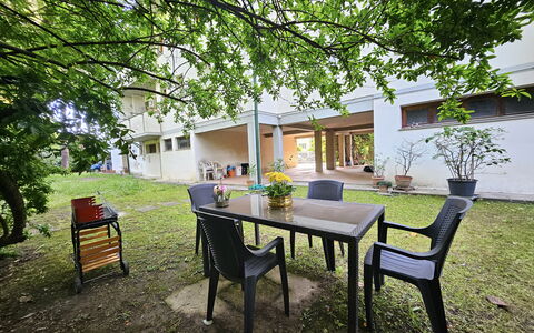 Alle Gardenie: Shade, Garden, Yard, Backyard, Landscaping, Chair, Courtyard, Hacienda, Outdoor Table, Outdoor Furniture