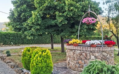 Accommodation:&nbsp;Olivo 35.1
