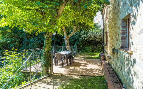 Fibbialla: Spring, Garden, Backyard, Shade, Yard, Fence, Bicycle Fork, Bicycle