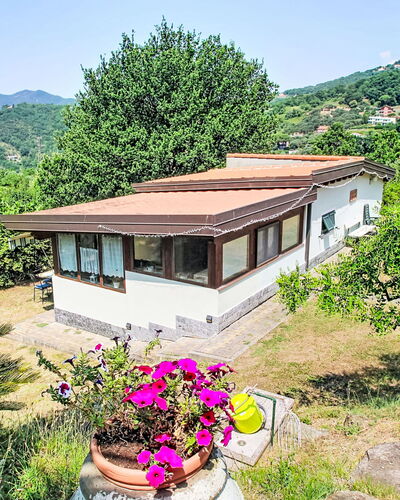 La Casa di Menny: Furniture, Outdoor Furniture, Chair, Garden, Wood Stain, Lawn, Hardwood, Shade, Backyard
