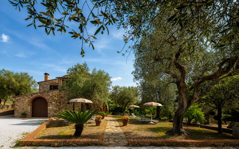 Casale delle Lupe, Campiglia Marittima