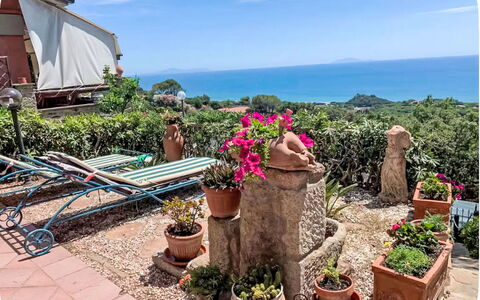 Deborah: House, Shrub, Home, Residential Area, Estate, Cottage, Hacienda, Yard, Shade, Lawn