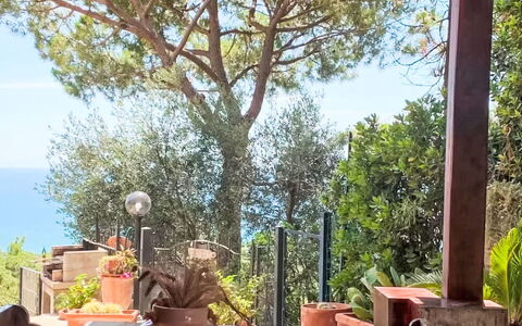 Deborah: House, Shrub, Home, Residential Area, Estate, Cottage, Hacienda, Yard, Shade, Lawn
