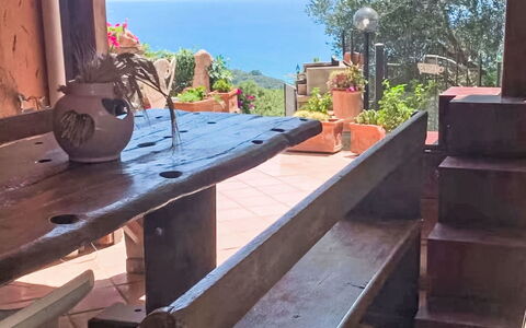 Deborah: House, Shrub, Home, Residential Area, Estate, Cottage, Hacienda, Yard, Shade, Lawn