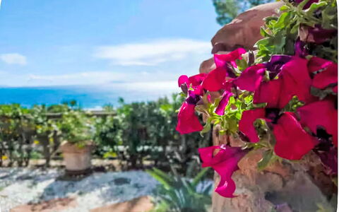 Deborah: House, Shrub, Home, Residential Area, Estate, Cottage, Hacienda, Yard, Shade, Lawn